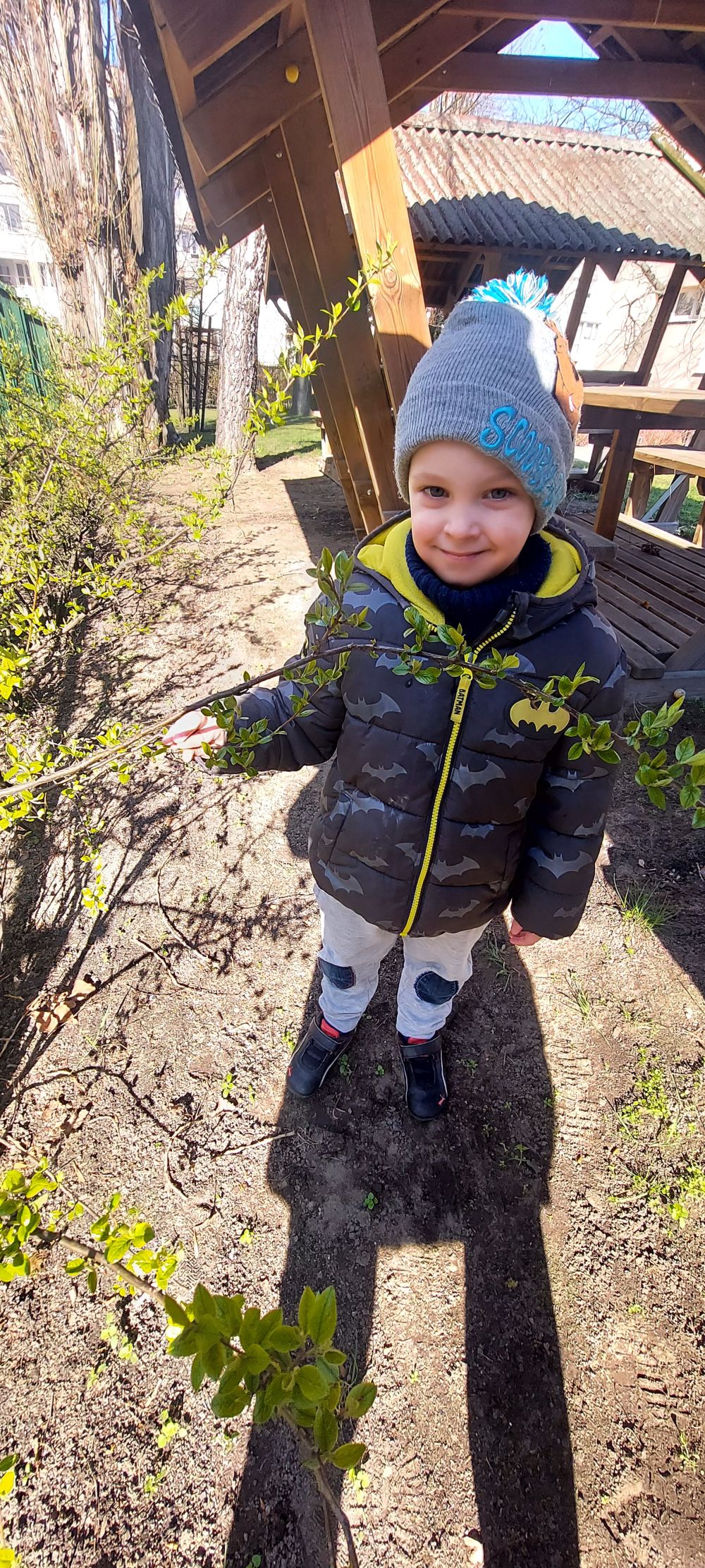 Chłopiec stoi w ogrodzie przedszkolnym obok drzewa na którym są pierwsze liście