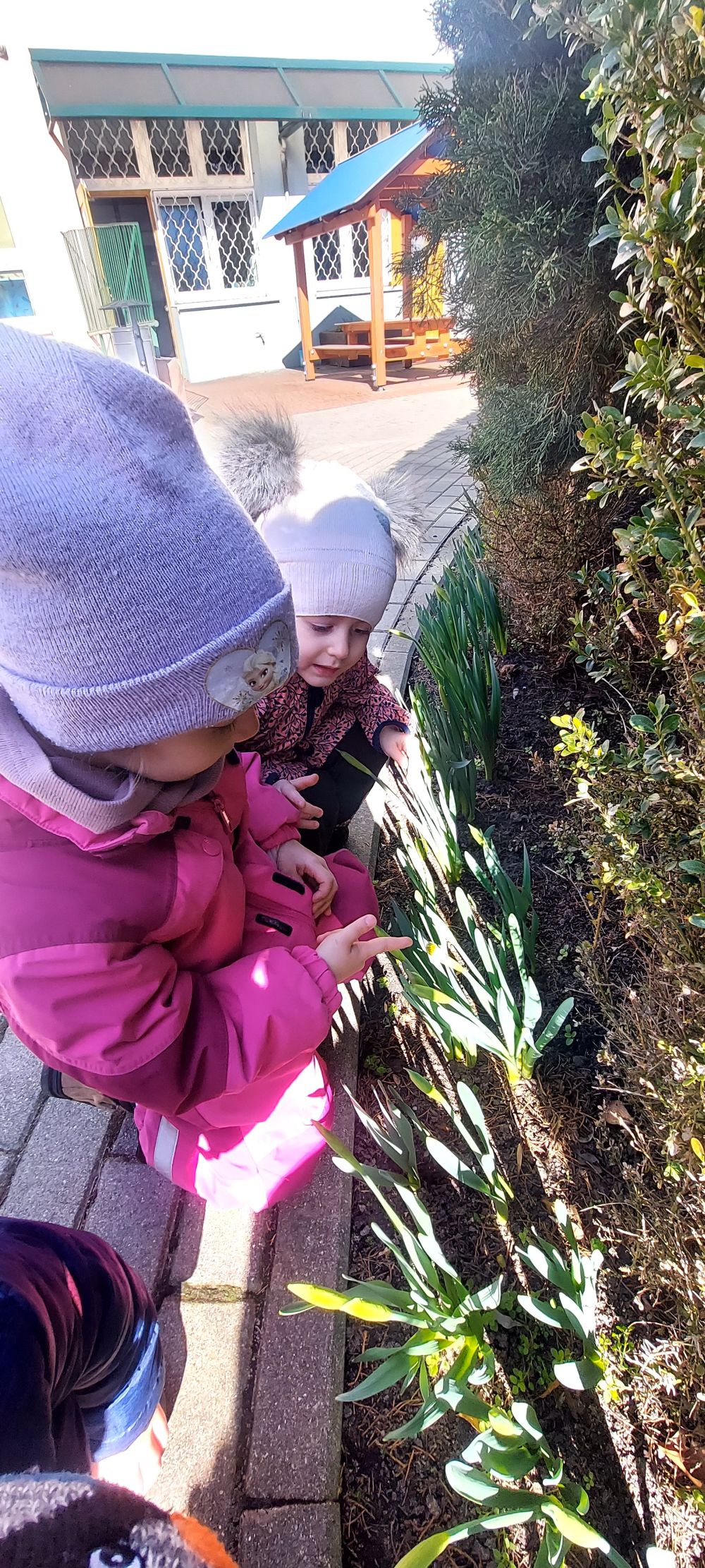 Dwie dziewczynki oglądają kwiatki w ogrodzie przedszkolnym