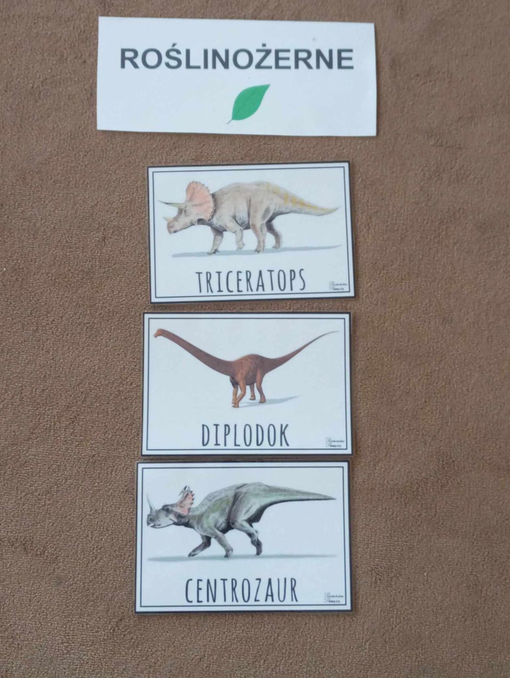 3 obrazki dinozaurów pod napisem roślinożerne