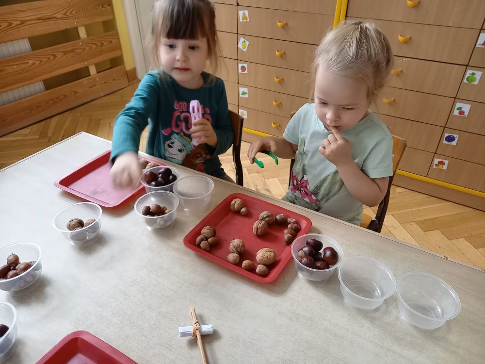 2 dziewczynki siedzą przy stoliku i segregują żołędzie, orzechy i kasztany przy pomocy szczypiec