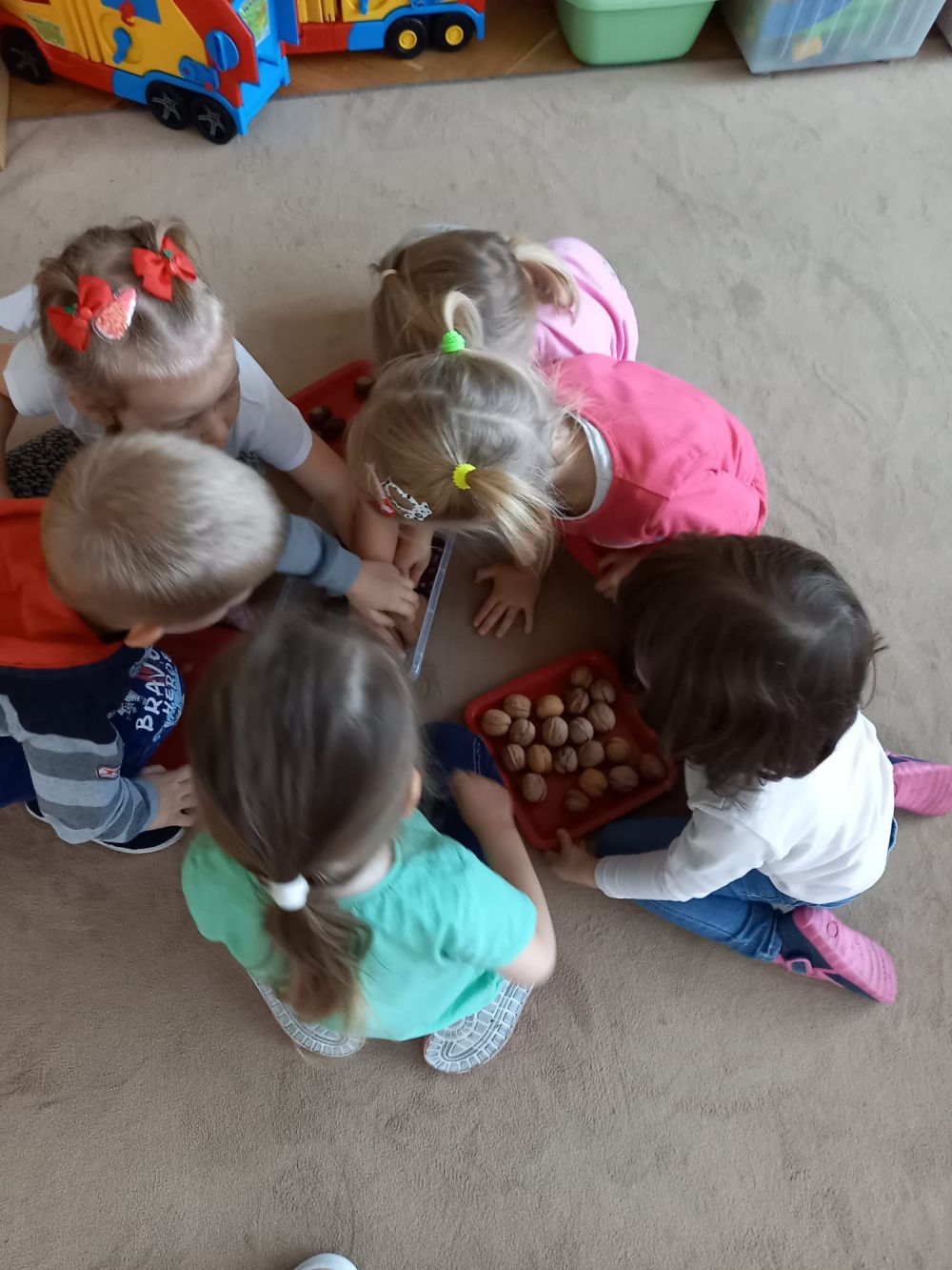 6 dzieci siedzą na dywanie i wyjmują z pojemnika kasztany i orzechy