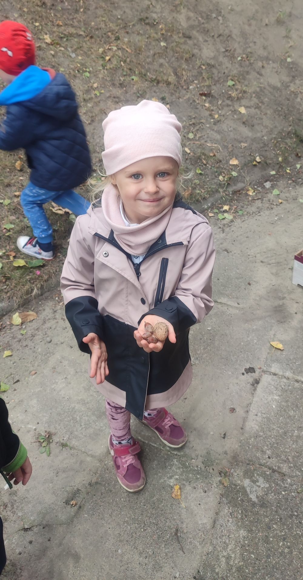 Dziewczynka stoi w ogrodzie przedszkolnym i w ręce trzyma orzechy