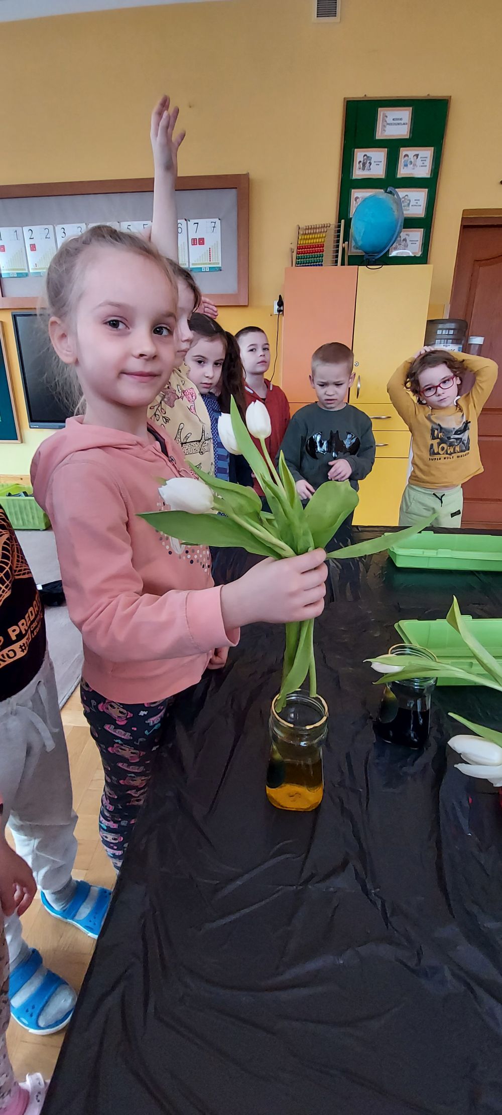 Dziewczynka wkłada białe tulipany do słoika z zabarwioną wodą