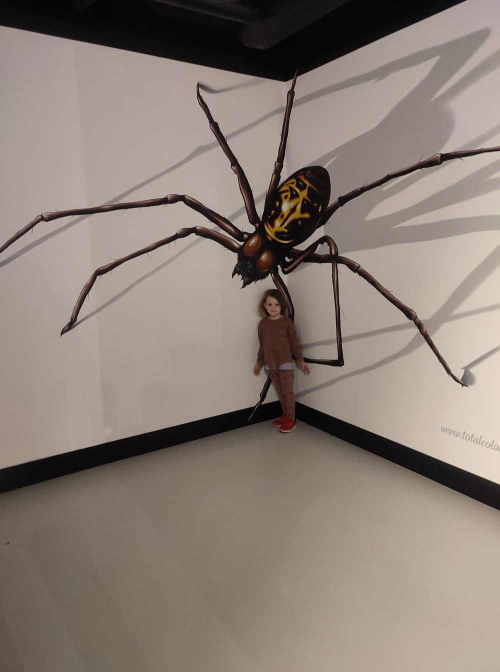 Dziewczynka stoi na tle wielkiego pająka 3D namalowanego na ścianie