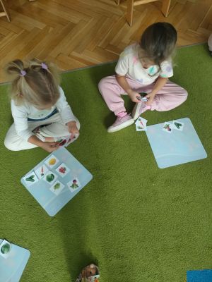 Dziewczynki układają obrazki z warzywami na podkładce przed sobą