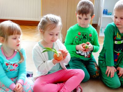 Dzieci oglądają cebulę